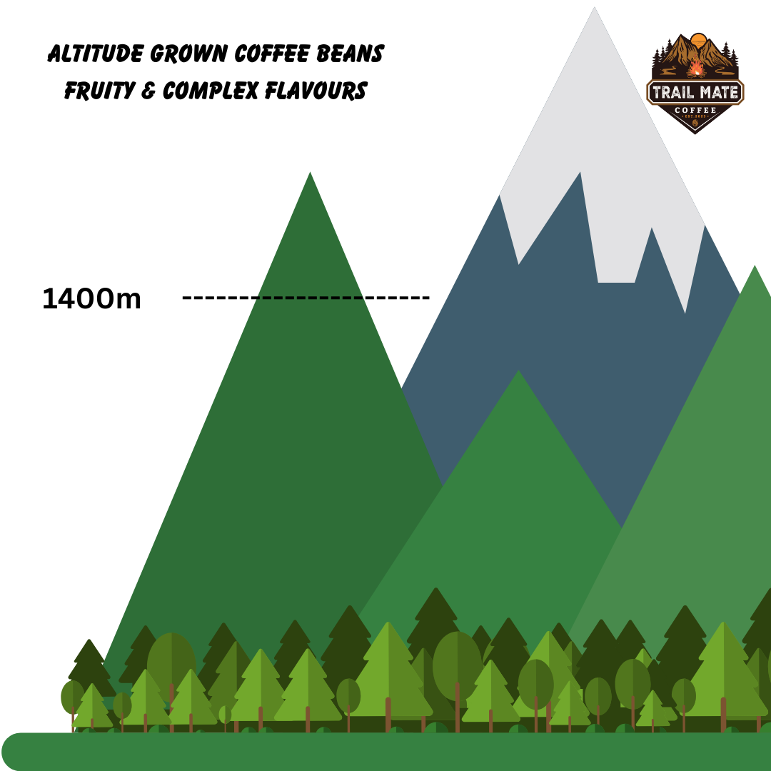 Kosciuszko Summit -  Altitude Grown Coffee Beans